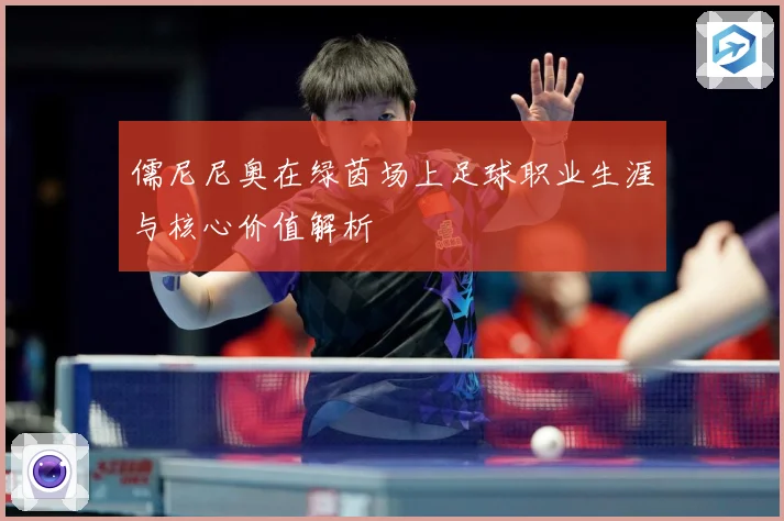 儒尼尼奥在绿茵场上足球职业生涯与核心价值解析